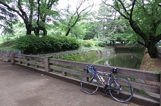 photo-20120610-1