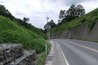 photo-20120610-10