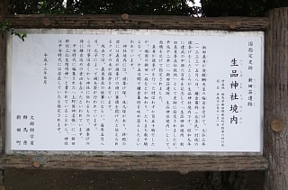 photo-20120610-13