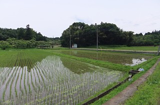 photo-2012023-1