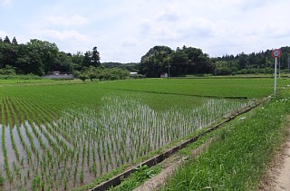 photo-20120630-1