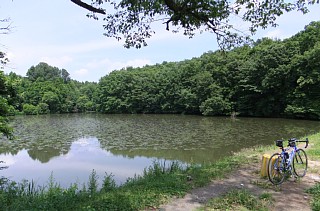 photo-20120630-3