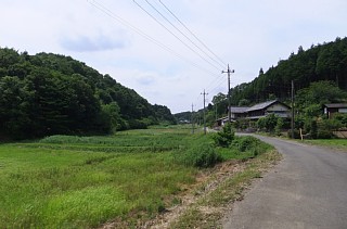 photo-20120630-5
