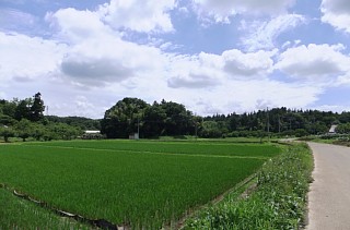 photo-20120708-1