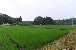 photo-20120715-1