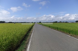 photo-20120903-1