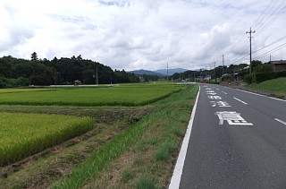 photo-20120903-2