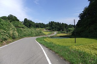 photo-20120910-1