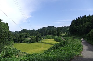 photo-20120910-2
