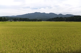 photo-20120910-7