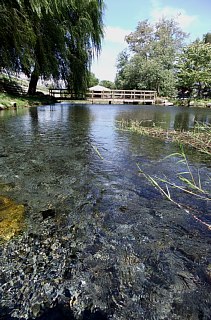 photo-20120917-4
