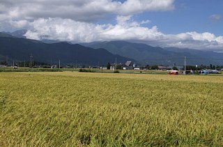 photo-20120917-5