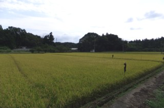 photo-20120922-1