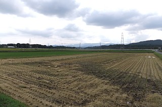 photo-20120922-7