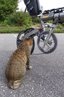 photo-20120930-10