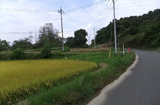 photo-20121006-2