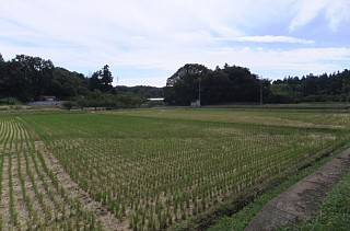 photo-20121013-1