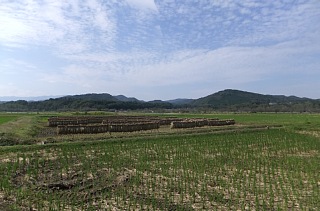 photo-20121016-1