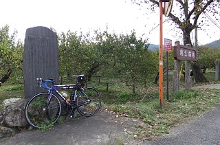 photo-20121016-3