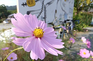 photo-20121020-6