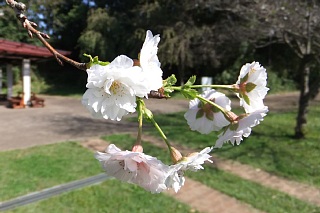 photo-20121021-1