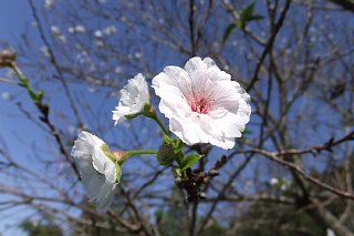 photo-20121021-2