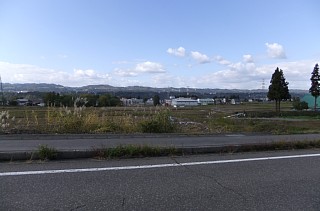photo-20121105-7