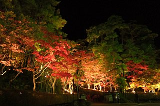 photo-20121111-2