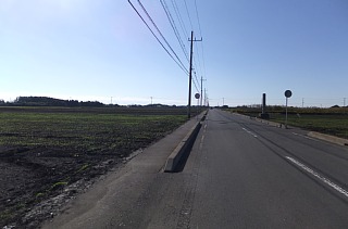 photo-20121119-4