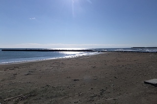 photo-20121119-5