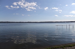 photo-20121119-8
