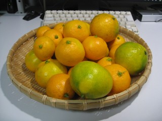 photo-20121123-1