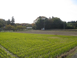 photo-20121124-1