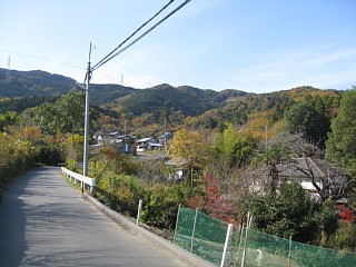 photo-20121124-2