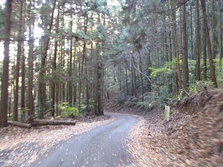 photo-20121124-5