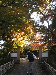 photo-20121125-2