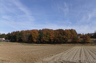 photo-20121202-1