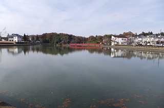 photo-20121202-2