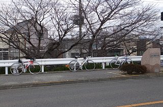 photo-20121223-2