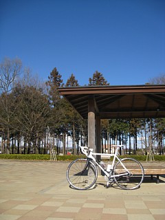photo-20121231-1