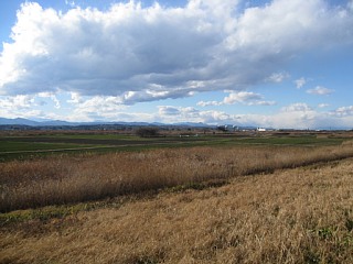 photo-20121231-3