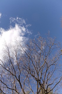 photo-20130104-2