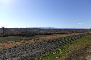 photo-20130104-3