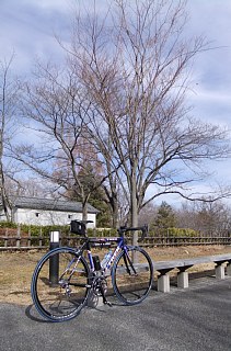 photo-20130105-1