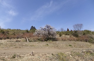 photo-20130303-3