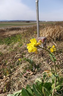 photo-20130303-5