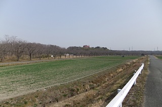 photo-20130310-1