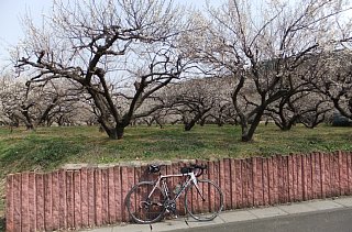 photo-20130310-4