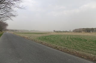 photo-20130310-8