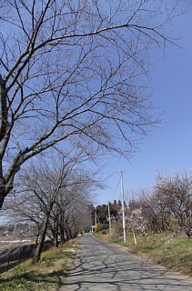 photo-20130316-1